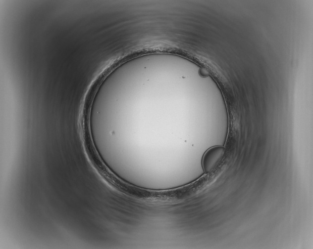 X0000114500630200910191137