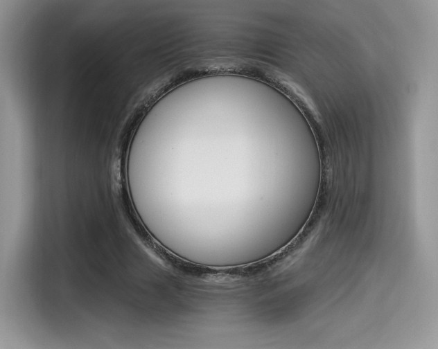 X0000114500633200910191137
