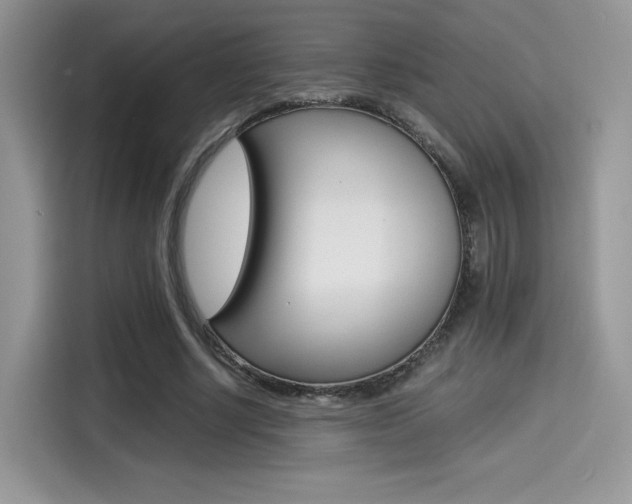 X0000114500634200910191137