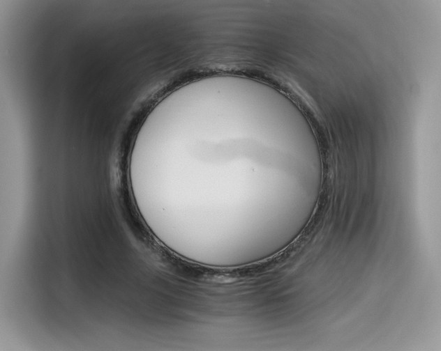 X0000114500635200910191137