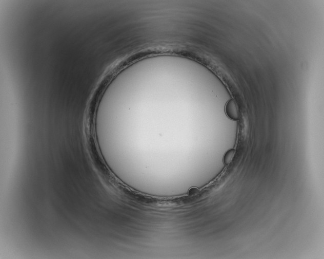 X0000114500636200910191137