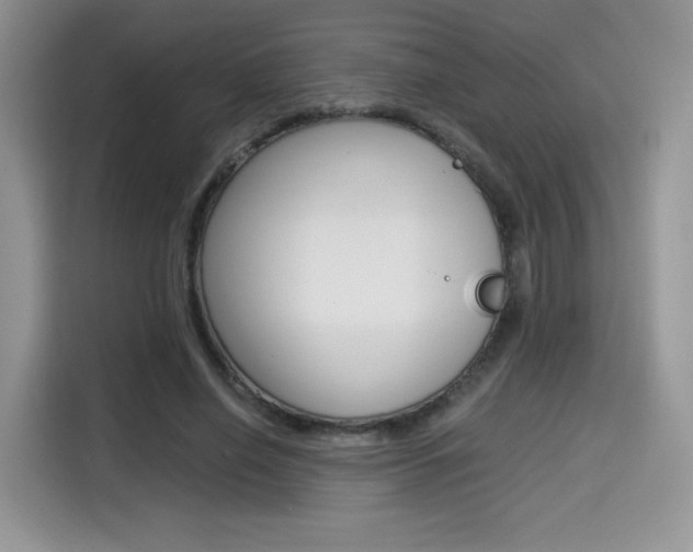X0000114500638200910191137