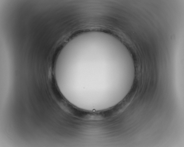 X0000114500644200910191137