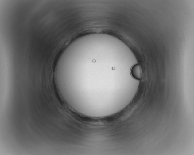 X0000114500646200910191137