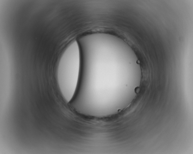 X0000114500648200910191137