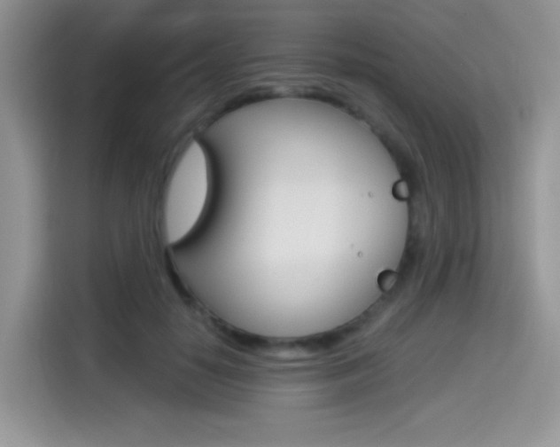 X0000114500650200910191137