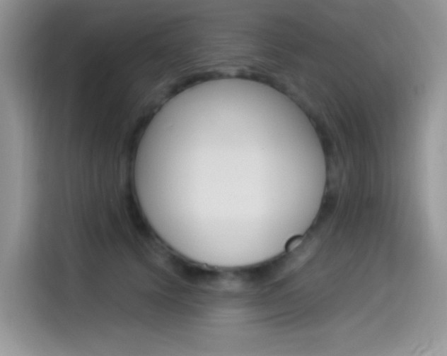 X0000114500656200910191137