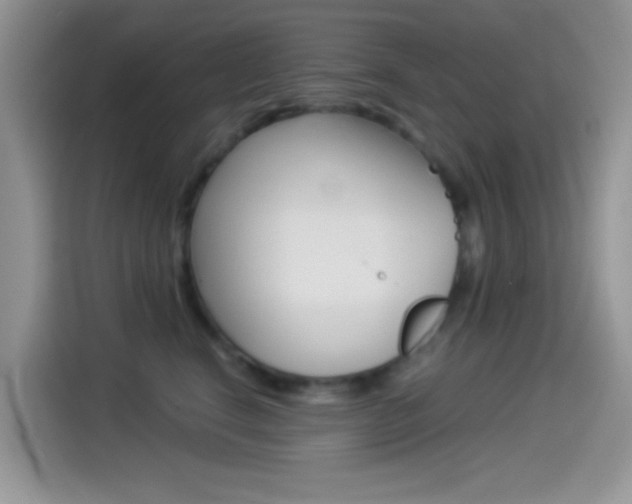 X0000114500664200910191137