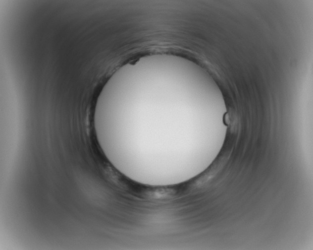 X0000114500670200910191138