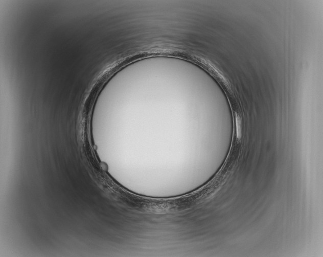 X0000114500675200910191137