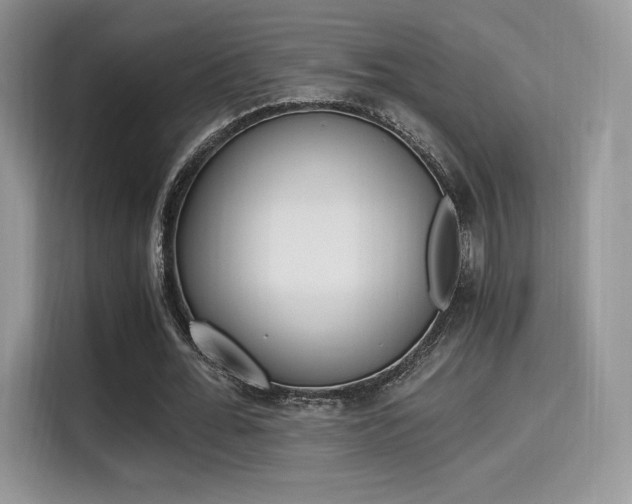 X0000114500676200910191137