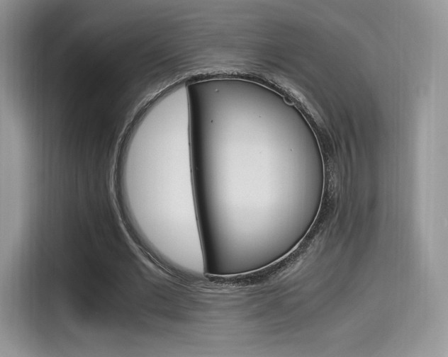 X0000114500677200910191137
