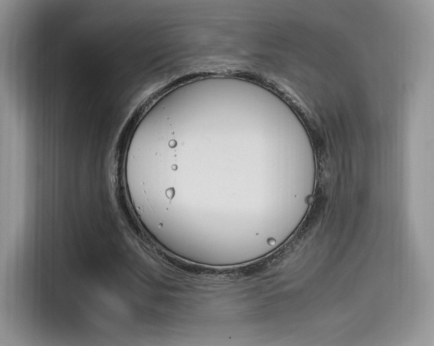 X0000114500679200910191137