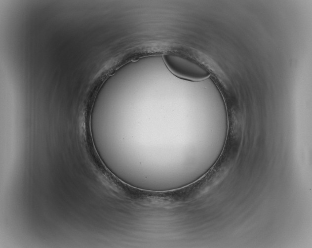 X0000114500681200910191137