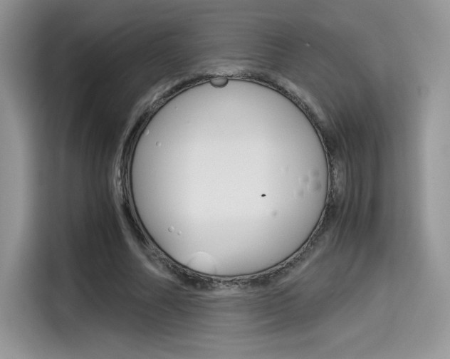 X0000114500682200910191137