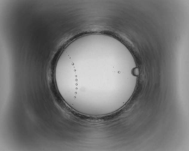 X0000114500683200910191137