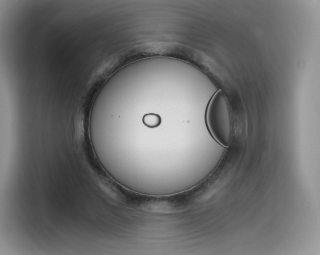 X0000114500685200910191137