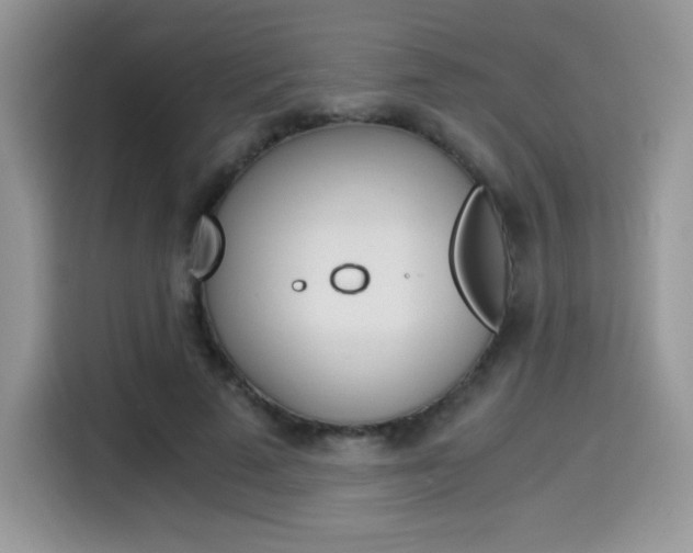 X0000114500689200910191137