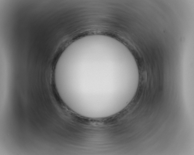 X0000114500694200910191137