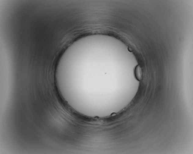 X0000114500695200910191137