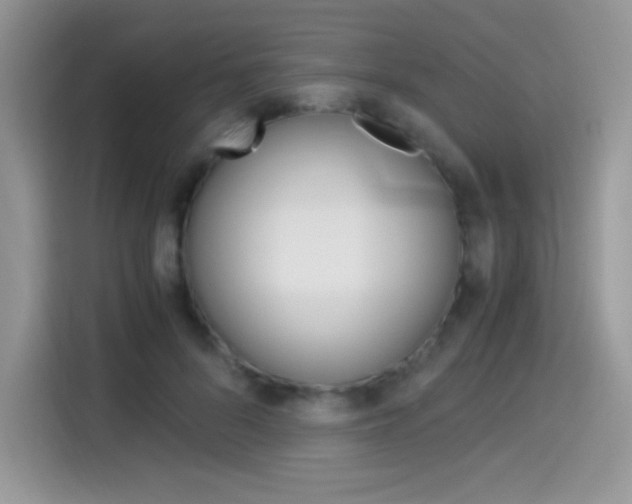 X0000114500696200910191137