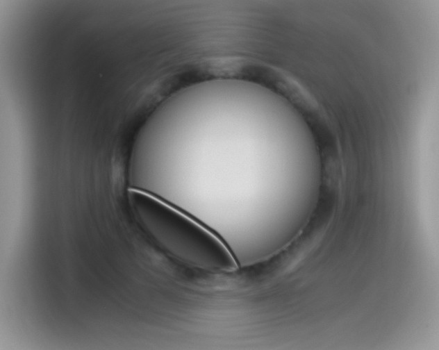 X0000114500697200910191137
