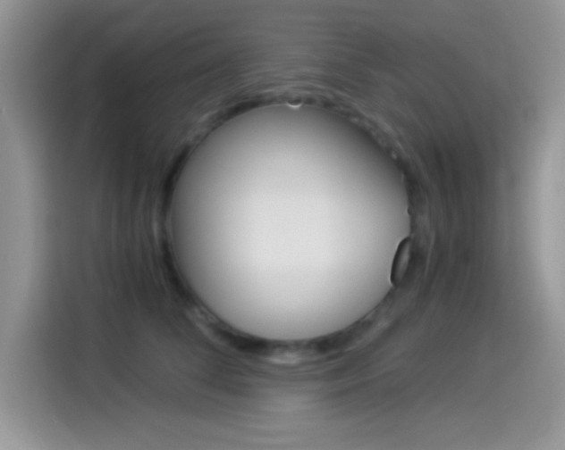 X0000114500708200910191137