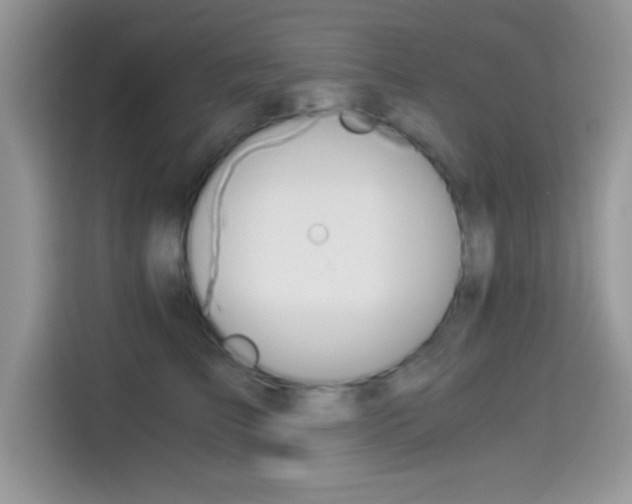X0000114500709200910191137