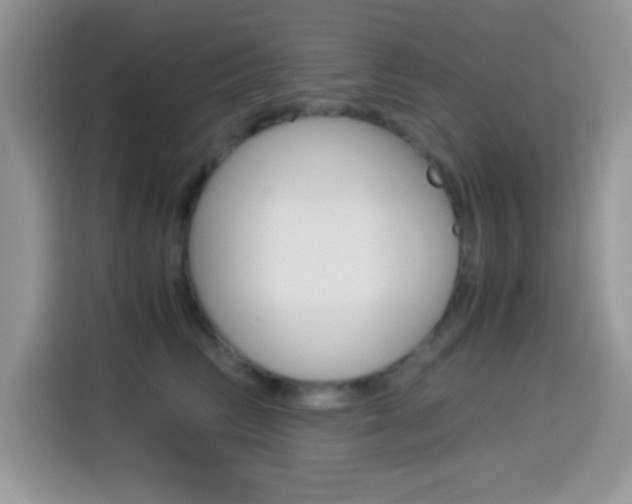 X0000114500710200910191136