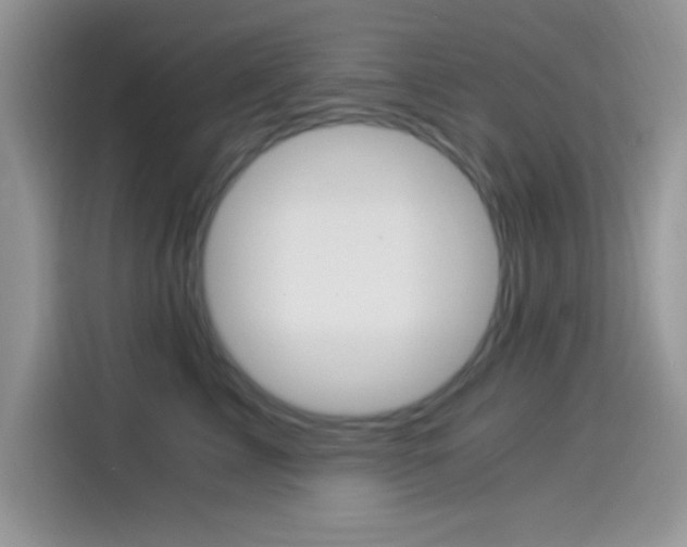 X0000114500713200910191136