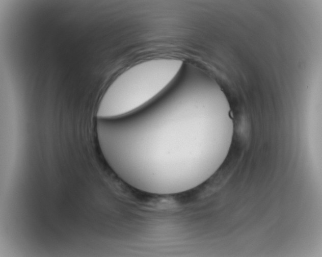 X0000114500715200910191136