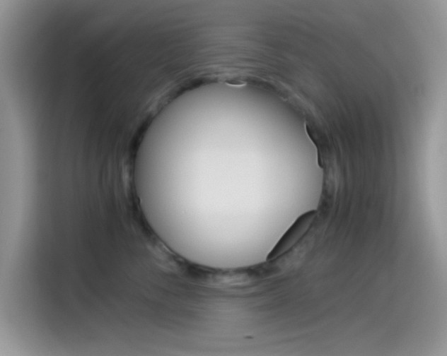 X0000114500716200910191136
