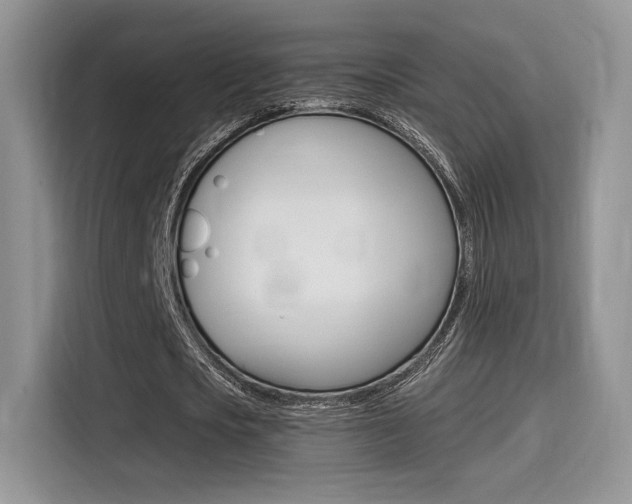 X0000114500721200910191136