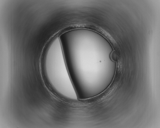X0000114500722200910191136