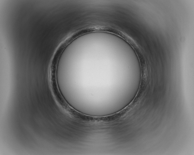 X0000114500730200910191136