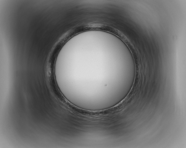 X0000114500731200910191136