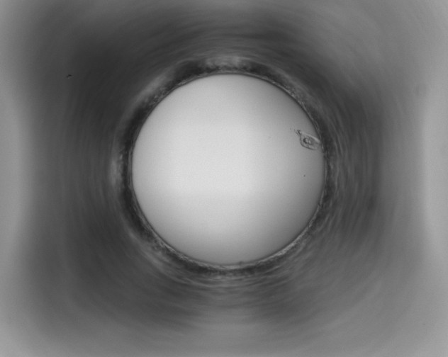 X0000114500735200910191136