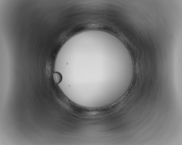X0000114500741200910191136