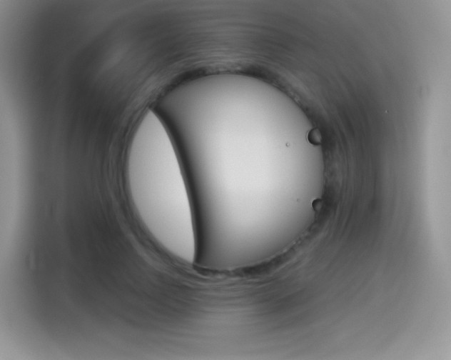 X0000114500742200910191136