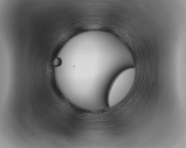 X0000114500743200910191136