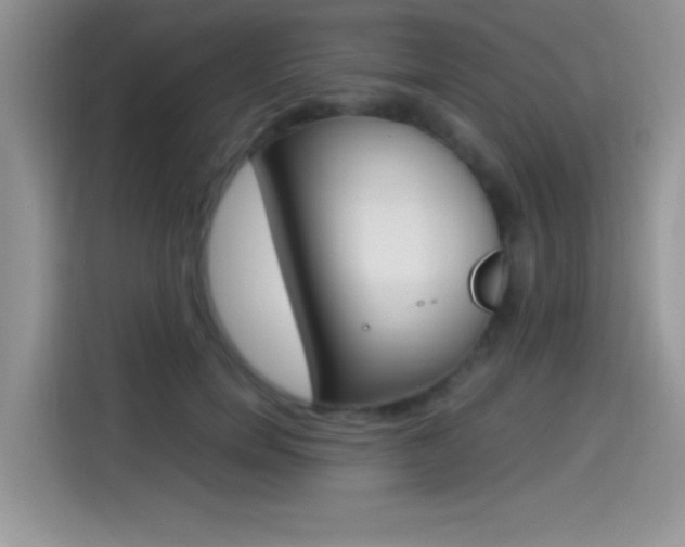 X0000114500750200910191136