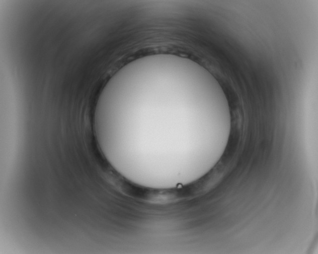 X0000114500754200910191136