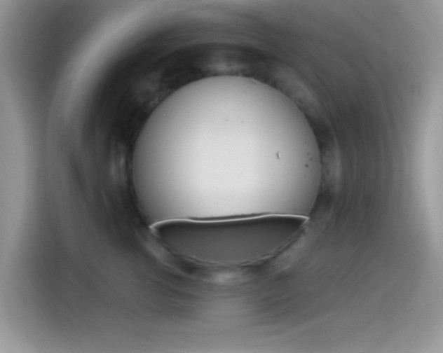 X0000114500762200910191136