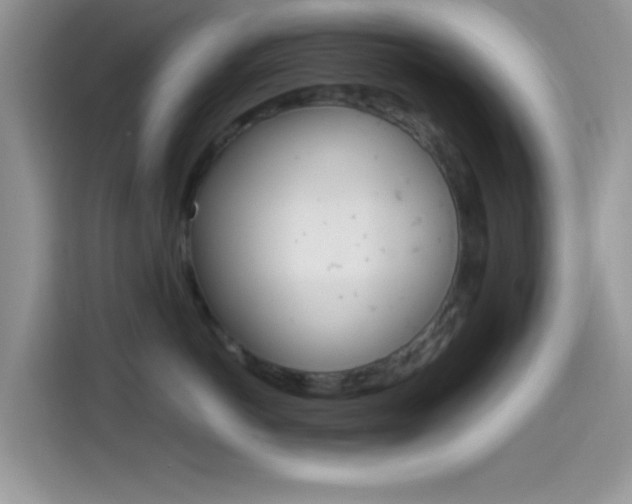 X0000114500766200910191136