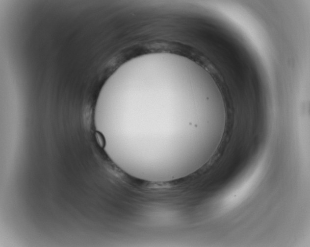 X0000114500767200910191136