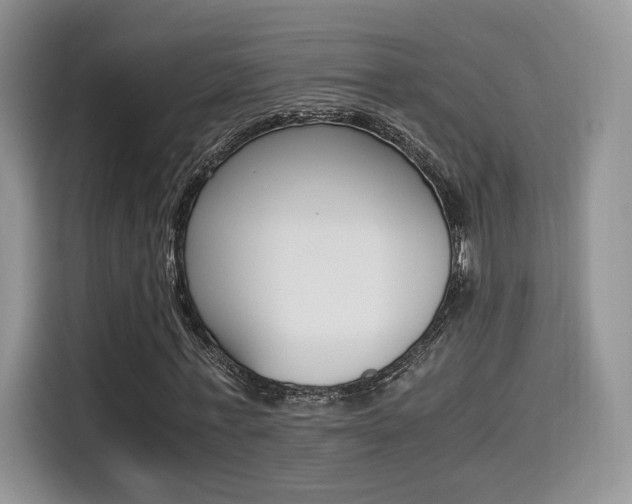 X0000114500771200910191136