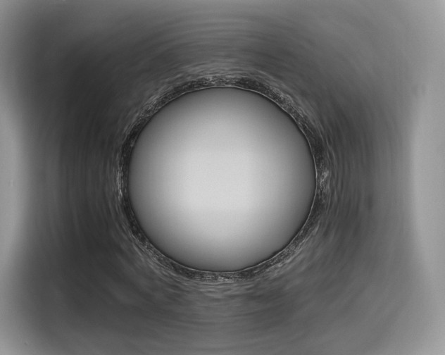 X0000114500772200910191136