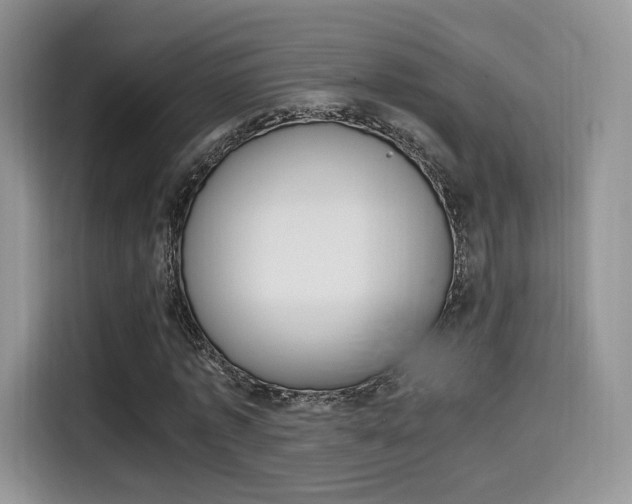 X0000114500773200910191136