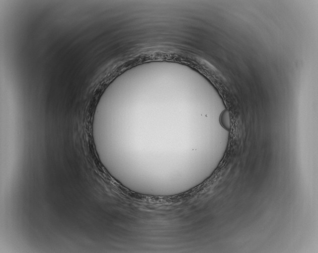 X0000114500774200910191136