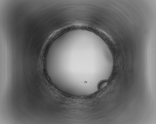 X0000114500776200910191136